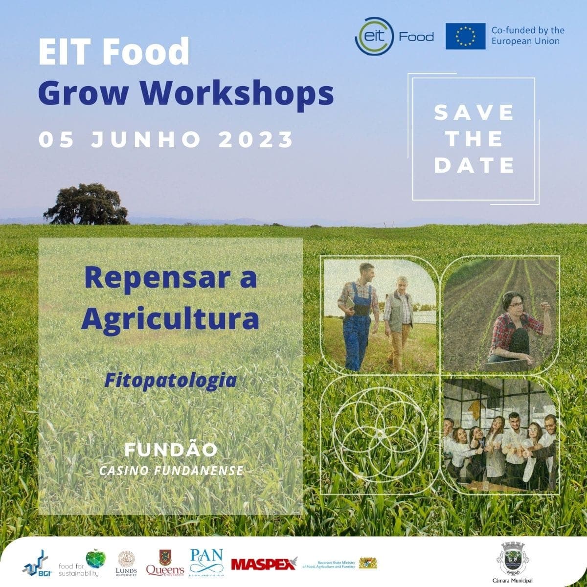 Grow Workshop 3