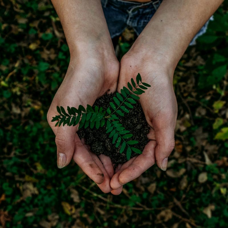 Ash2Soil