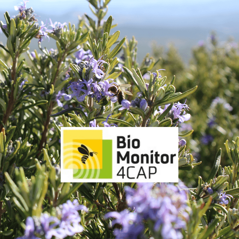 BioMonitor4CAP