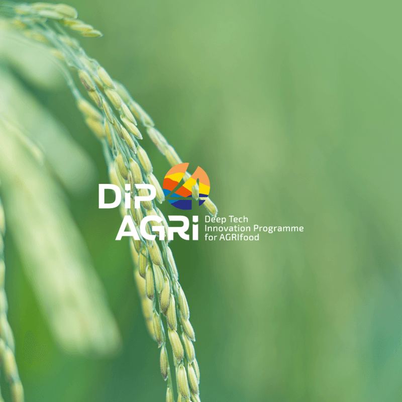 DIP4Agri