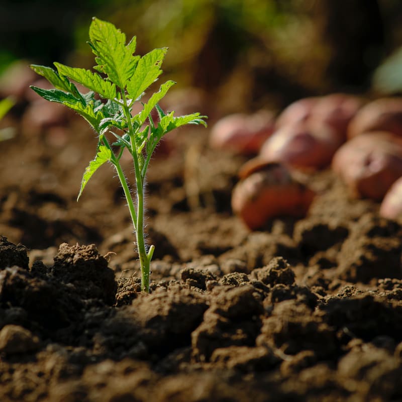 EIT Food HealthySoil4Life Summer School