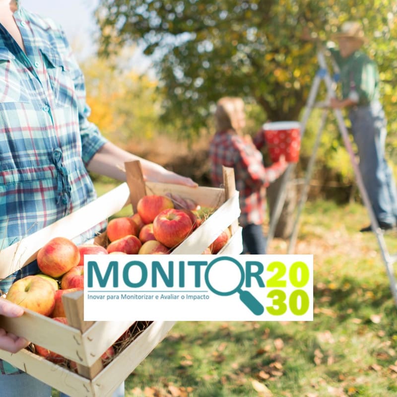Monitor2030