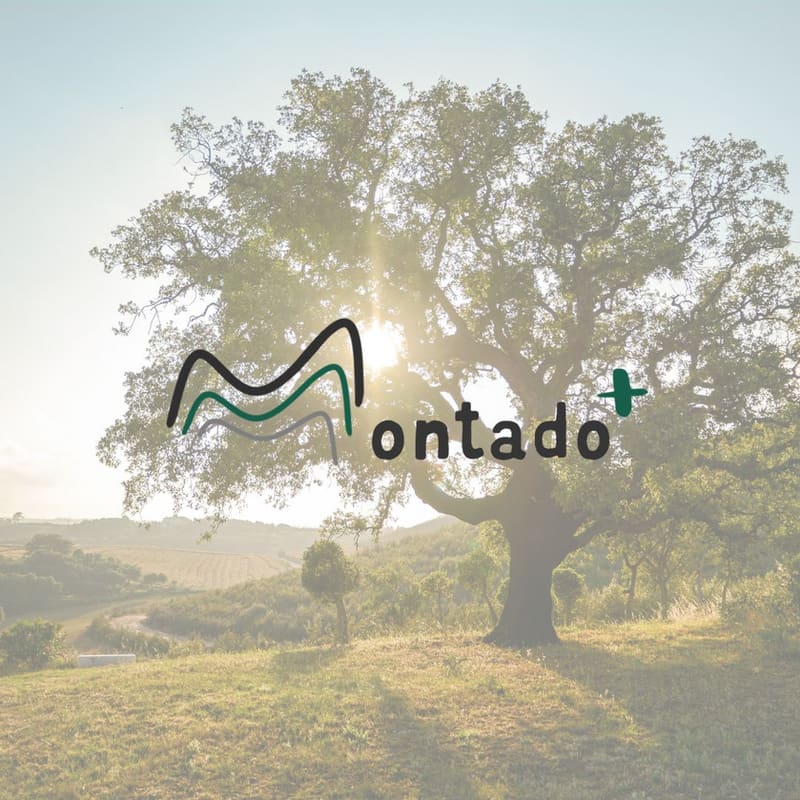 Montado Plus