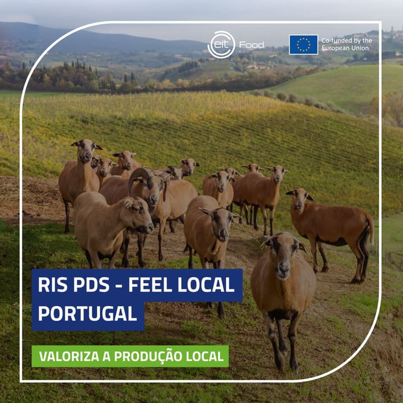 RIS PDS — Feel Local Portugal