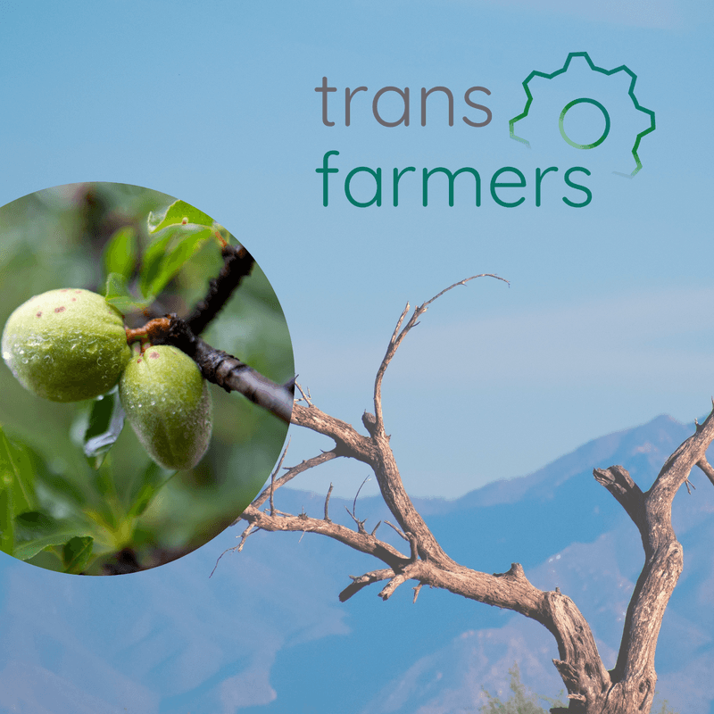 TransFarmers