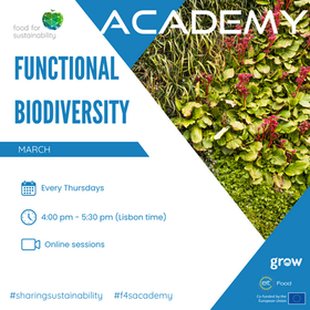 Biodiversidade Funcional