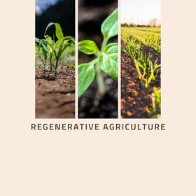 Agricultura Regenerativa