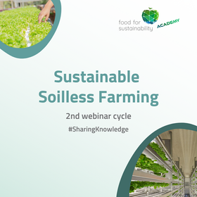 Agricultura Sustentável Sem Solos